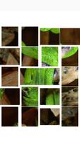 Snake Picture Jigsaw 截圖 3