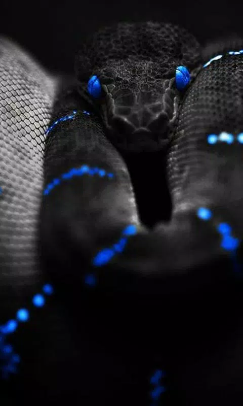 Top 48+ imagen serpiente fondo de pantalla