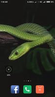 Snake Wallpaper HD скриншот 2
