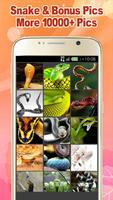 Snake Wallpapers Cartaz