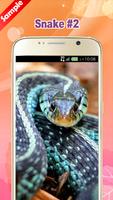 Snake Wallpapers imagem de tela 2