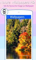 Nature Wallpapers captura de pantalla 3