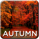 APK Autumn Wallpapers HD