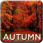Autumn Wallpapers HD icône