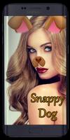 Lenses Snap Cat Face Filters poster