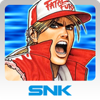 FATAL FURY SPECIAL-icoon