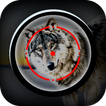 Animal Sniper Wolf Hunting Shooter