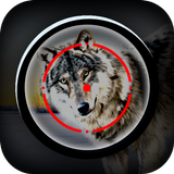 Animal Sniper Wolf Hunting Shooter icône