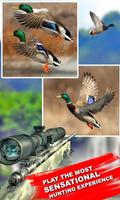 Duck Shooting 3D Affiche