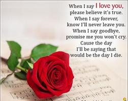 Love poems with pictures poster