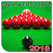 Snooker champion Pool 8 Ball billiards hero