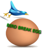 Breaking Bird egg
