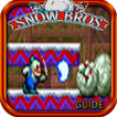 Guide for Snow Bros 2