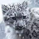 snow leopard wallpaper APK