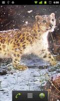 LWP léopard des neiges capture d'écran 1