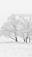 Snow Wallpaper HD Affiche