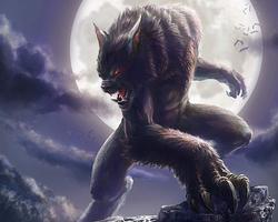 Werewolf Puzzles capture d'écran 3
