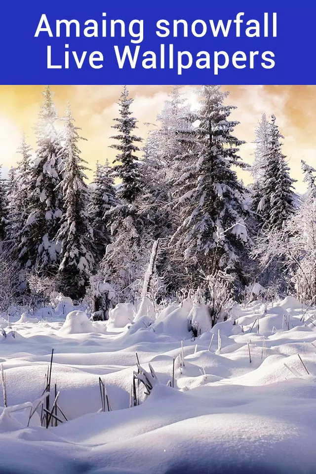 Snowfall Live Wallpaper - Animated Snowfall APK for Android Download Snowfall Live Wallpaper - Animated Snowfall APK for Android Download