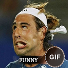 Sport GIFs أيقونة
