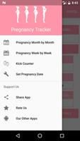 Pregnancy Tracker Affiche