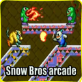Guide Snow Bros