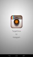 TargetGrow Instagram Followers Affiche