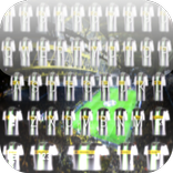 Borussia Moenchengladbach Icon