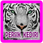 Macan Putih Football ikona