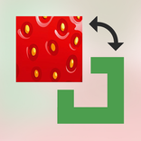 Сочно о дизайне