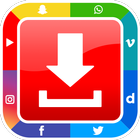 SocialTube Pro Downloader icône