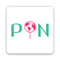 Pin