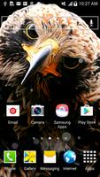 live eagle wallpaper screenshot 1
