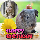 Happy Birthday Animal Frames icon