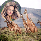 Wild Animal Photo Frames आइकन