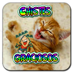 Chistes cortos buenos y graciosos