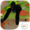 Gorilla Attack City APK