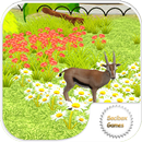 Gazelle in The City APK