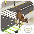 APK Camel Damage