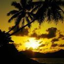 Golden Sunsets Live Wallpaper APK