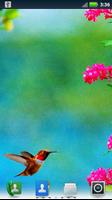 Hummingbirds Live Wallpaper capture d'écran 1