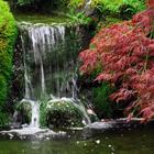 Japanese Gardens Wallpaper-icoon