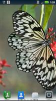 برنامه‌نما Butterflies Live Wallpaper عکس از صفحه
