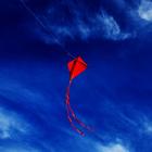 Soaring Kites Live Wallpaper icône