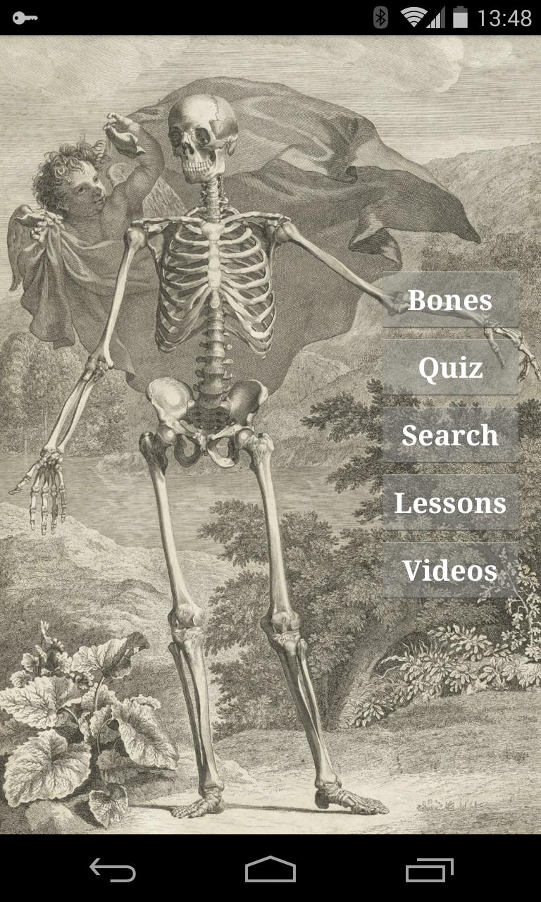 Bones download. Постер кости легкие. Постер кости легкие ФЕОДЕТ. Кости свежие в коробке. Белая кость Постер.