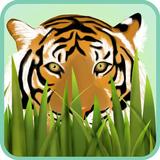 Petting Zoo (Animals for Kids) APK