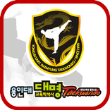 용인대대명태권도,충남서산