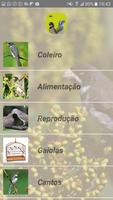 Coleiros & Trincas screenshot 1