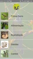 Coleiros & Trincas screenshot 2