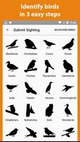 Birder - Record birds you see تصوير الشاشة 3