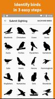 Birder - Record birds you see screenshot 3